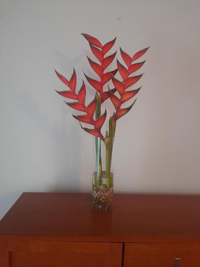 Recanto Da Madeira. Apartman Ribeira Brava Kültér fotó